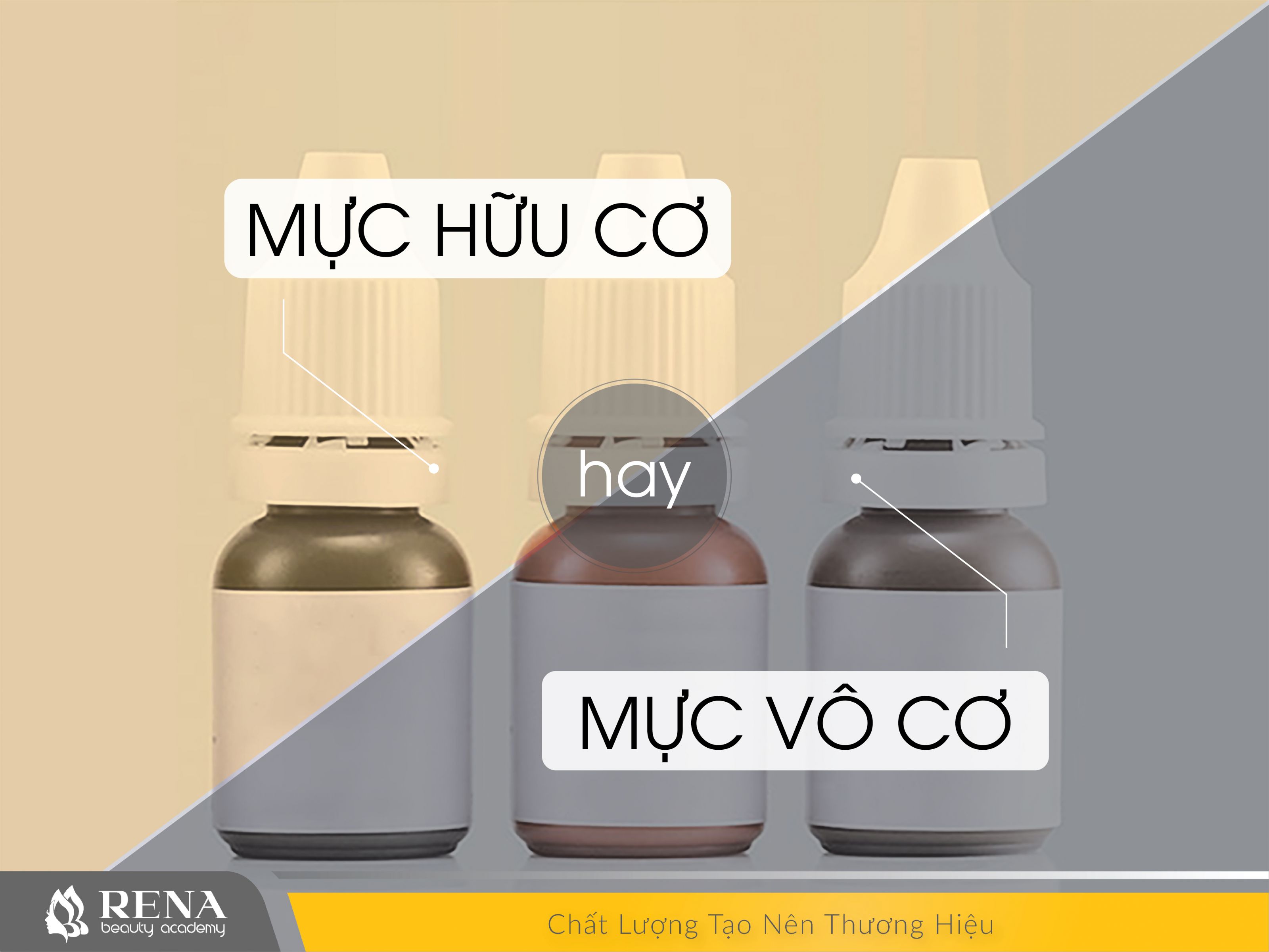 MỰC VÔ CƠ HAY MỰC HỮU CƠ? 