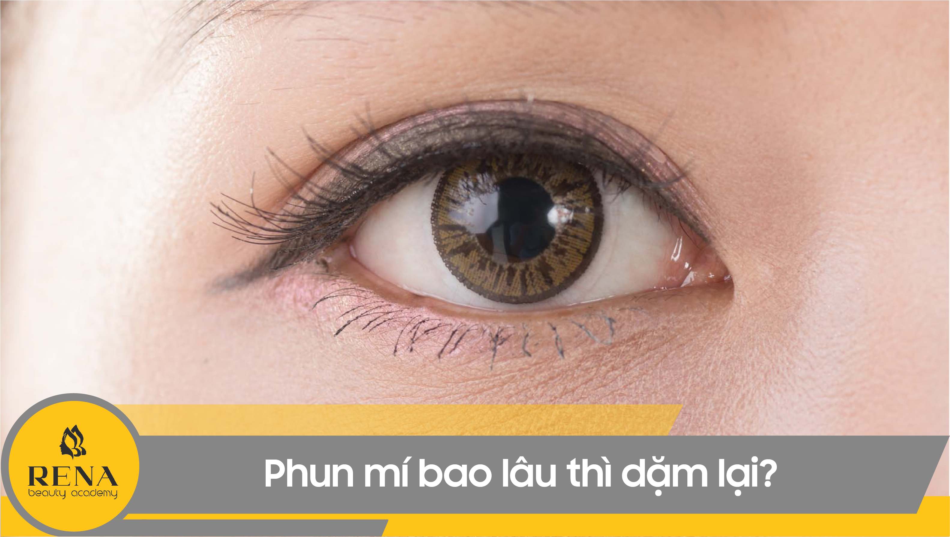 Phun mí bao lâu thì dặm lại? Mẹo chăm sóc để mí lên màu đẹp nhất