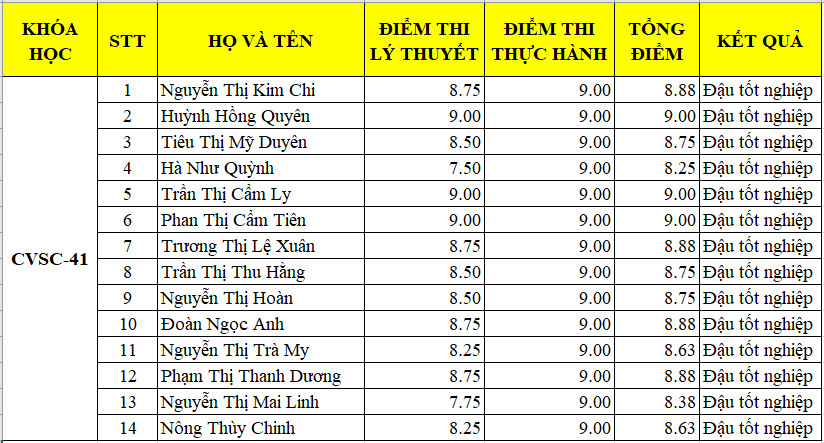 Bảng điểm thi đánh giá năng lực K41