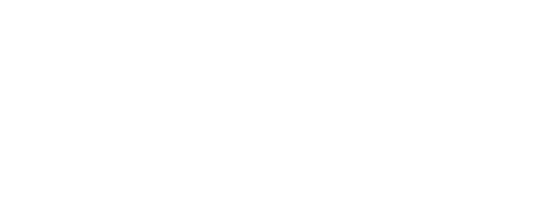 Raast Bank Transfer